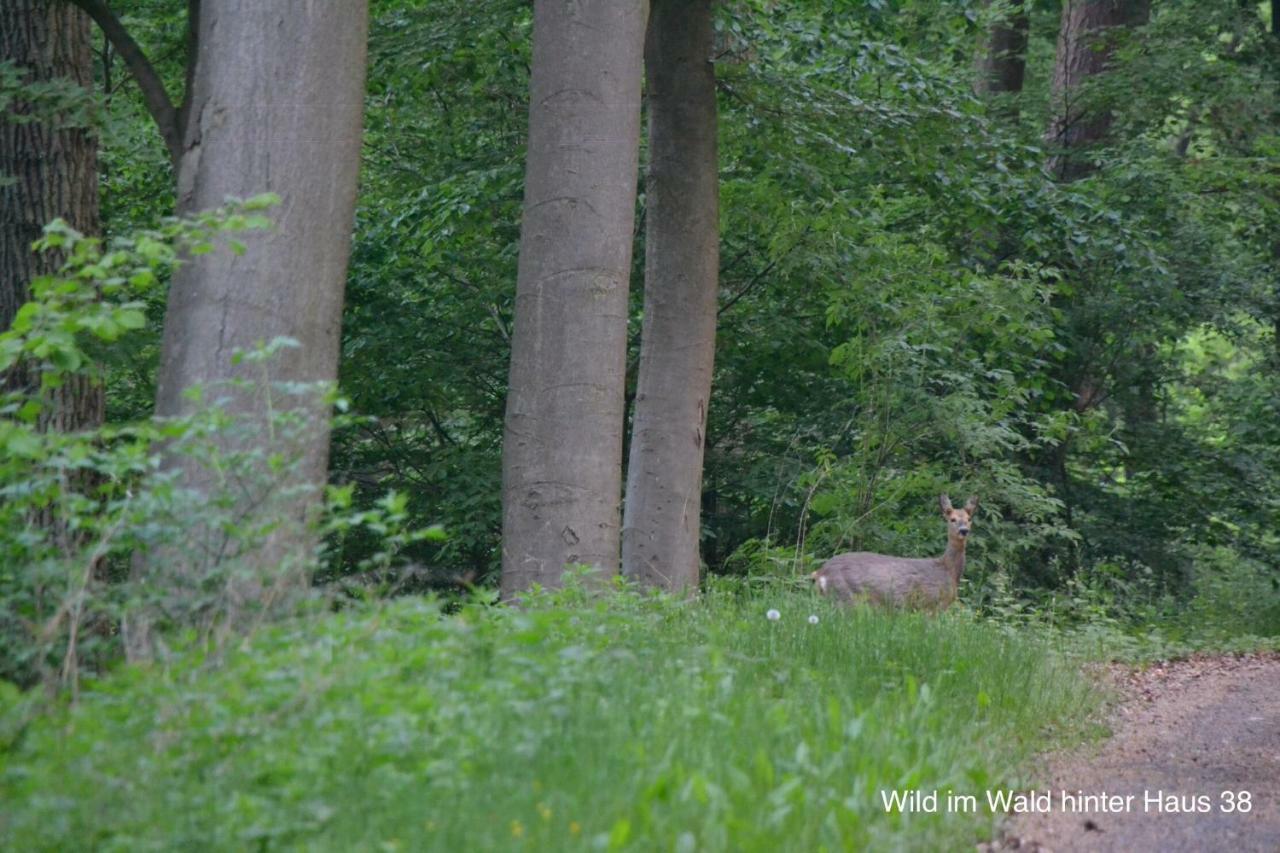 Huis 38 Seepark Kirchheim Kirchheim  Exteriér fotografie